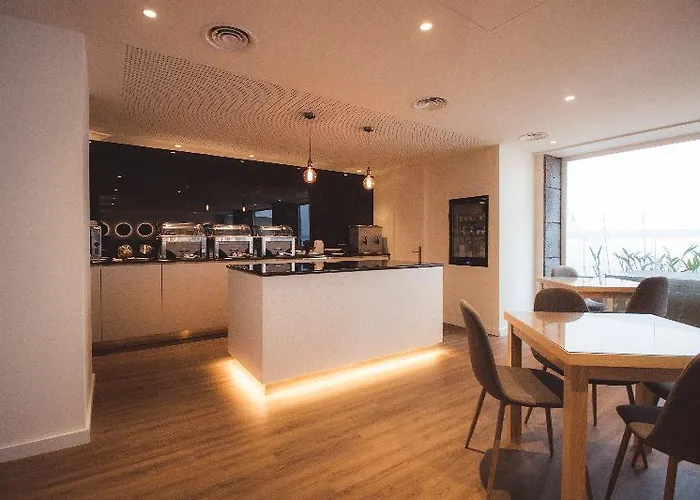 Gaivota Azores Ponta Delgada