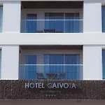 Gaivota Azores