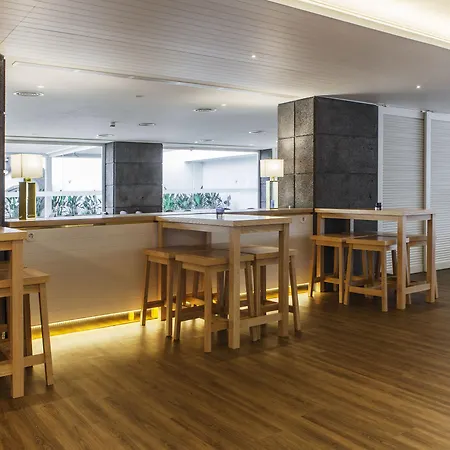 Gaivota Azores Ponta Delgada