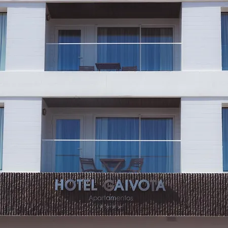 Gaivota Azores