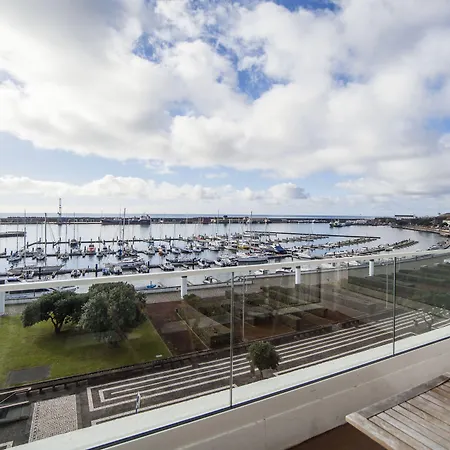 Gaivota Azores Ponta Delgada