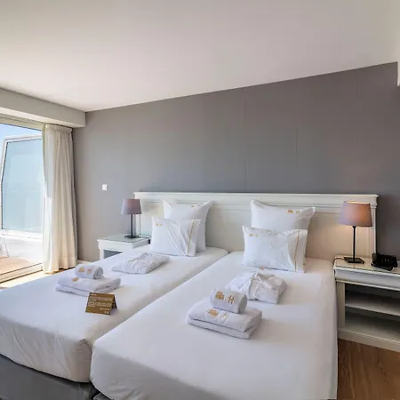 Gaivota Azores Ponta Delgada