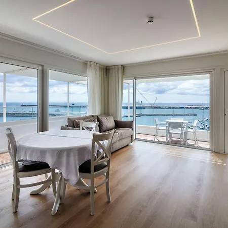 Gaivota Azores Ponta Delgada