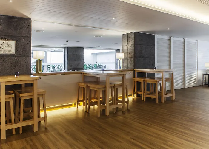 Gaivota Azores Ponta Delgada (Sao Miguel)