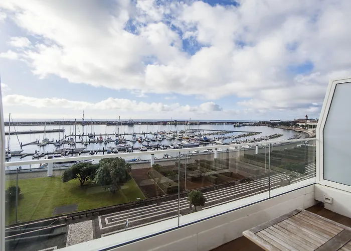 Gaivota Azores Ponta Delgada