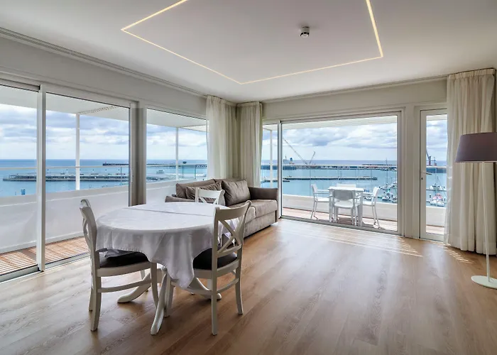 Gaivota Azores Ponta Delgada